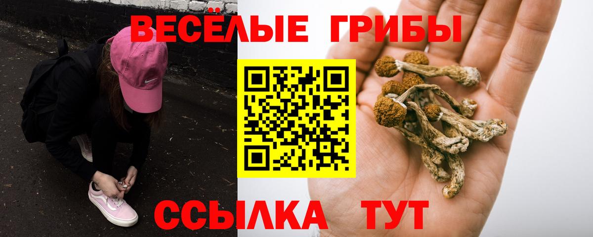 Галлюциногенные грибы Psilocybe  Вход с VPN  Псилоцибиновые грибы Cubensis  Воскресенск 