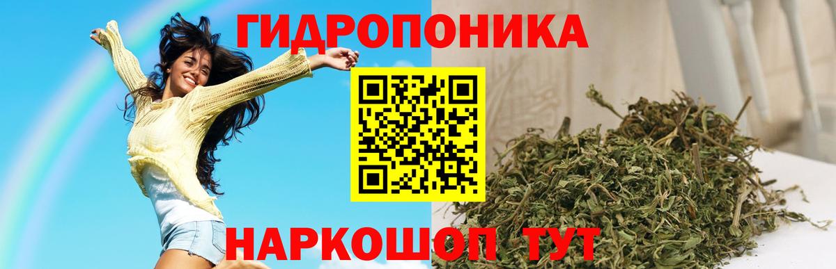 Воскресенск  Бошки Шишки тримм  Шишки марихуана план  Вход с VPN  Бошки Шишки сатива 